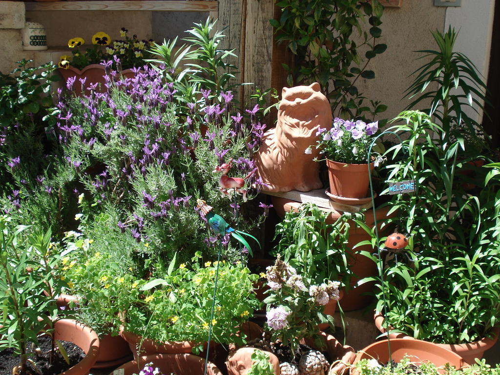Abruzzo Segreto Bed & Breakfast Navelli Exterior foto