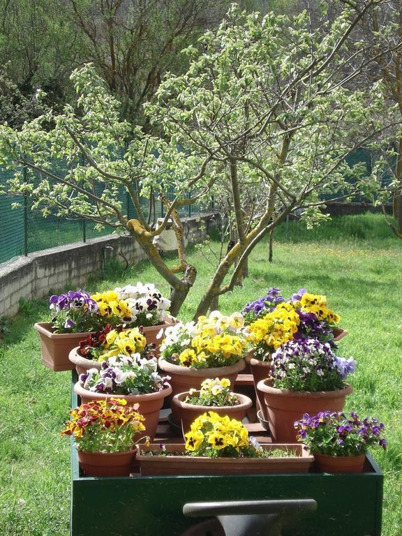 Abruzzo Segreto Bed & Breakfast Navelli Exterior foto