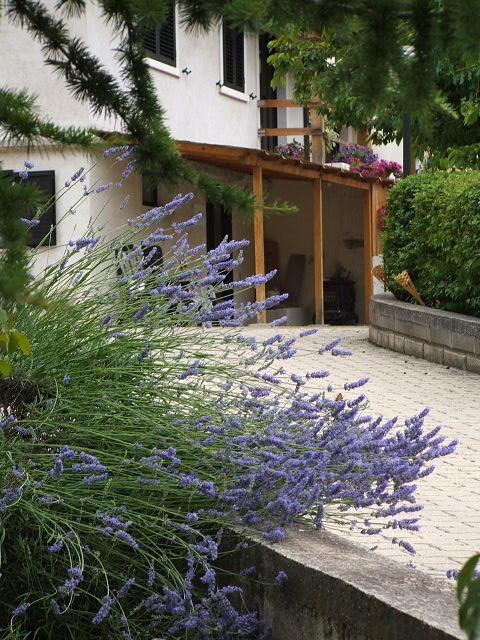 Abruzzo Segreto Bed & Breakfast Navelli Exterior foto